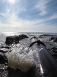 SX12635 Exposed drain pipe in low tide Ogmore by sea.jpg